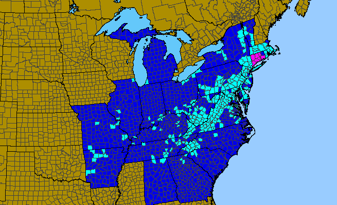 The range of Rubus phoenicolasius